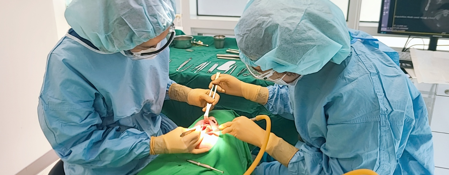 관악서울대학교치과병원진료사진