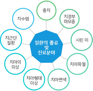 질환의 종류 및 진료 분야 -충치, 치경부 마모증, 시린 이, 치아파절, 치아변색, 치아형태 이상, 치아의 외상, 차근단 질환, 치수염