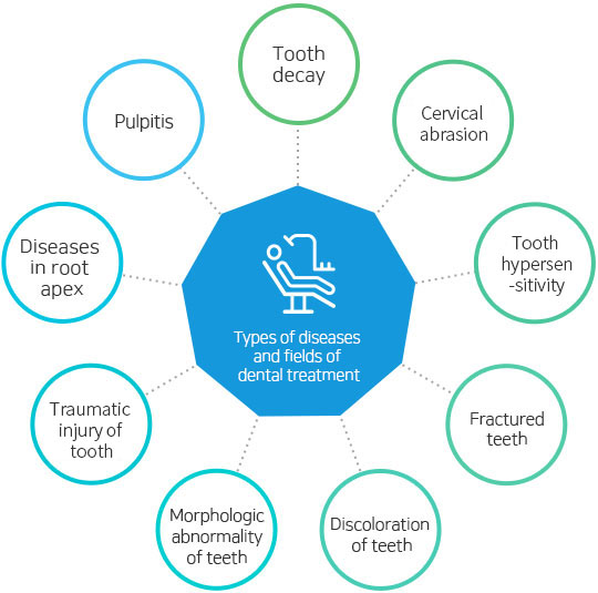 Types of diseases and fields of dental treatment Tooth decay, abrasion of tooth neck, tooth pain, fractured teeth, discoloration of teeth, morphologic abnormality of teeth, external damage of teeth, diseases in root apex, pulpitis