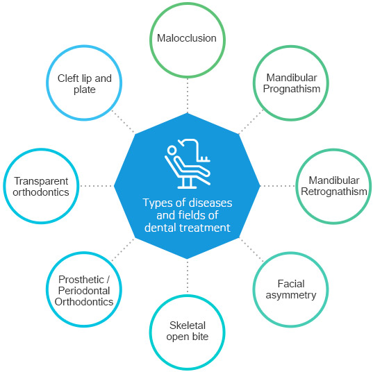 Types of diseases and fields of dental treatment Cleft lip and plate, prosthetic/periodontal orthodontics, malocclusion, facial asymmetry, skeletal open bite, hemifacial microsomia, transparent orthodontics, prognathism/ retrognathia, skeletal malocclusion