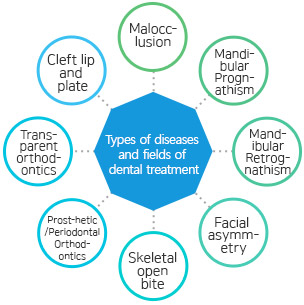Types of diseases and fields of dental treatment Cleft lip and plate, prosthetic/periodontal orthodontics, malocclusion, facial asymmetry, skeletal open bite, hemifacial microsomia, transparent orthodontics, prognathism/ retrognathia, skeletal malocclusion